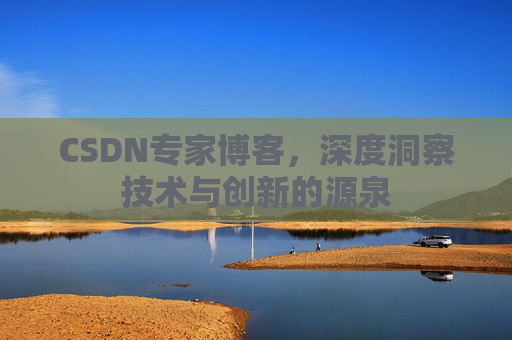 CSDN专家博客，深度洞察技术与创新的源泉